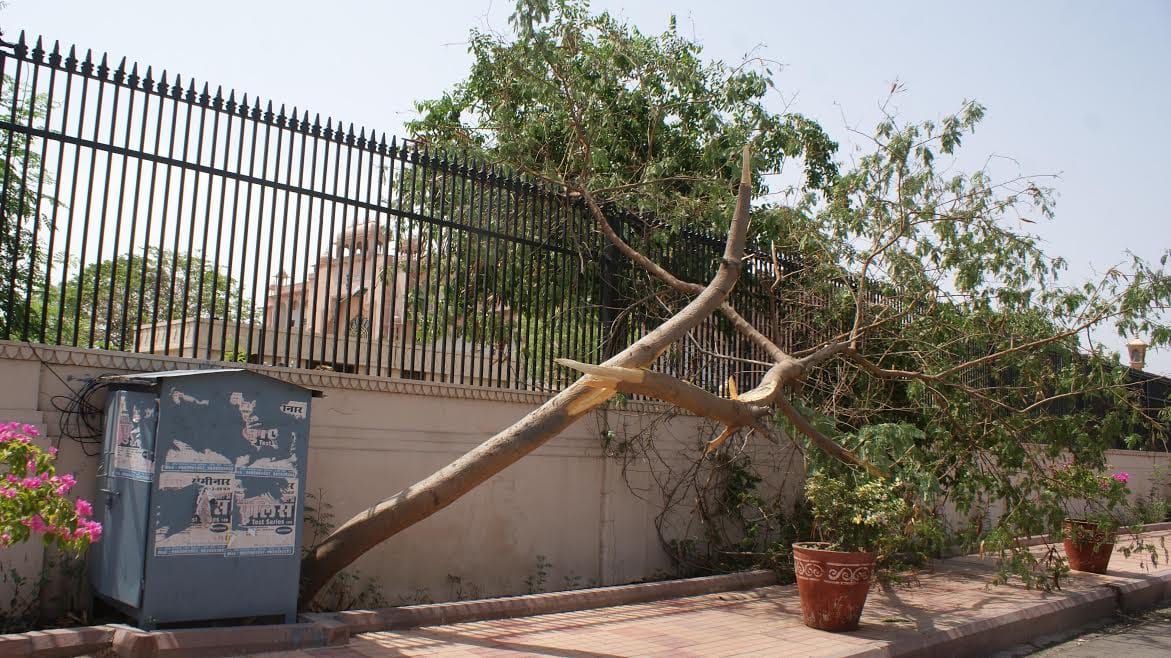 two death including 13 cow due to storm in rajasthan