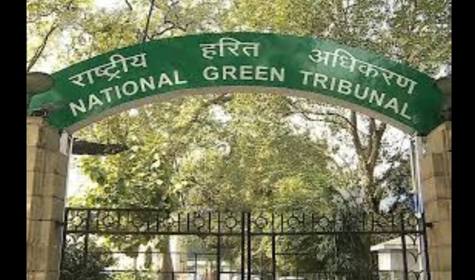 NGT says Give unique ID to 123 water bodies in Haryana 