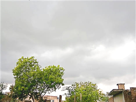 The storm triggered the city's electricity