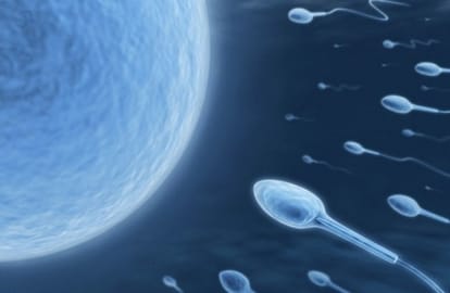 sperm frozen in space can produce healthy babies, iss experiment