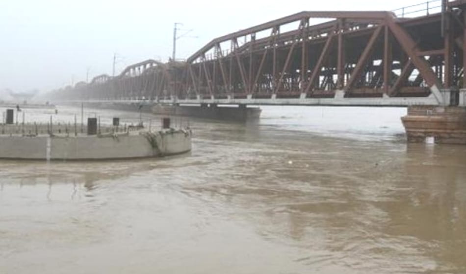 चारा लेने गई महिला की यमुना में डूबकर मौत