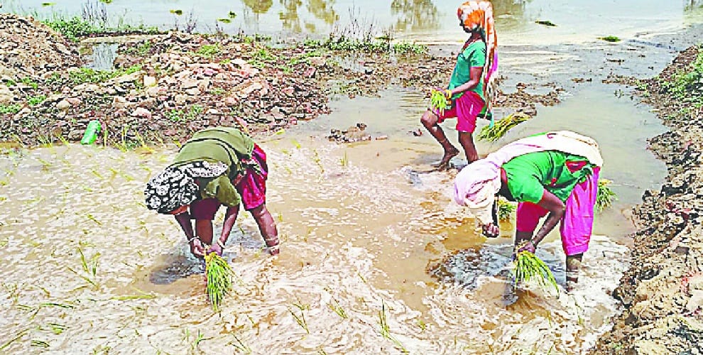In Saharanpur, the return of Dalits and Thakurs came in love, see pictures
