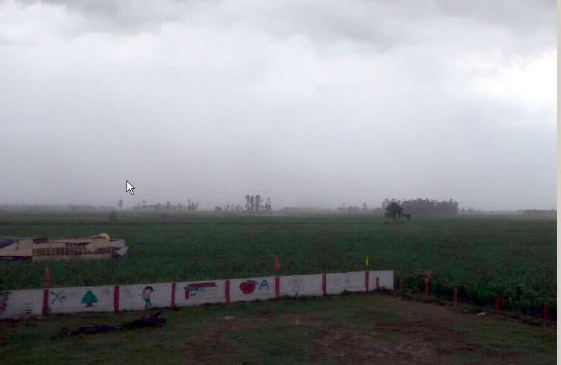 Relief from Jhajjam rain accompanied by strong winds