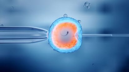 Doctor of the Netherlands who was gave his sperm by cheated 