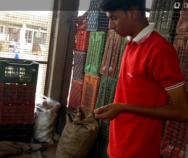  success story of the vegetable seller's son
