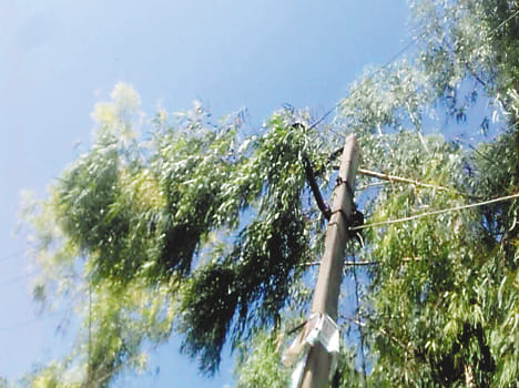 Cyclonic storm disrupts power, three hundred pillars fall