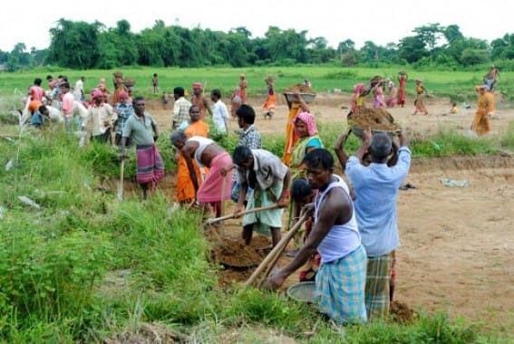 ambala MGNREGA scam, lokayukta order to do fir against four ias officers