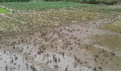 heavy rainfall and hailstorm in uttarkashi