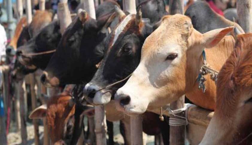 Doorstep mobile animal healthcare service soon in Jharkhand