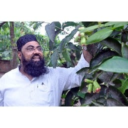 amroha me bikhar rahi thailand ke jamun ki khushbu