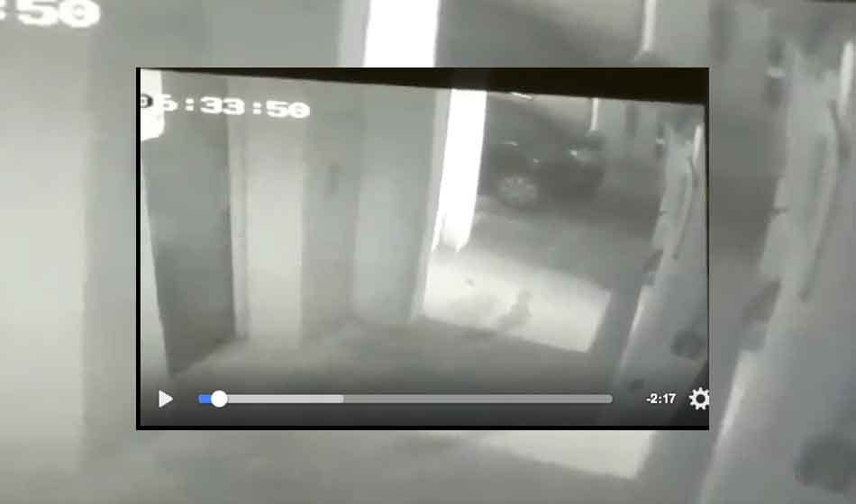 young woman shot dead in noida, all untold facts about case, dead woman and her friend