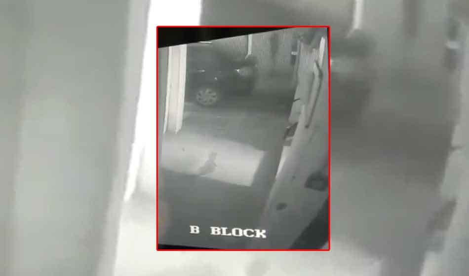 murder of anjali rathour