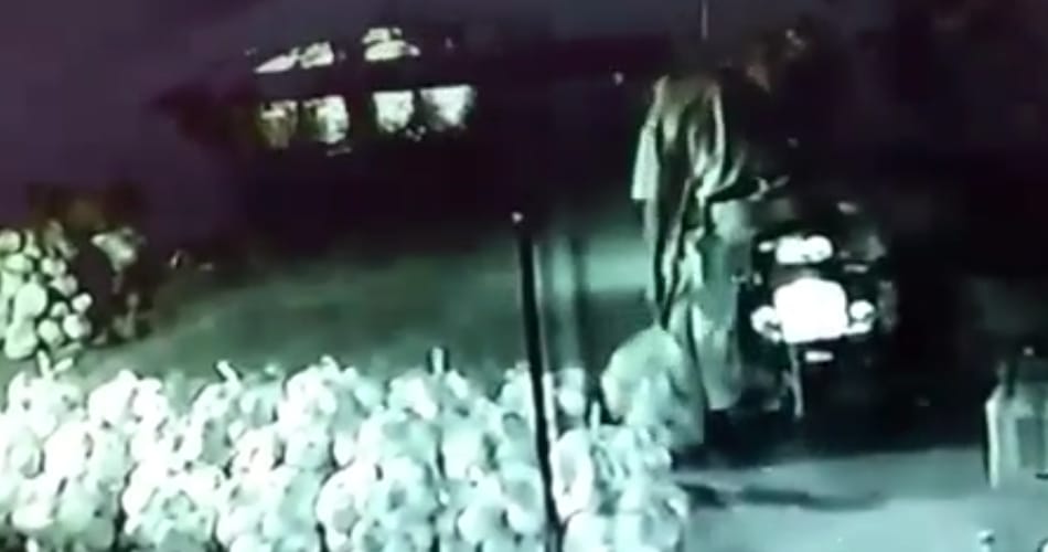 Two Haryana cops caught stealing melons, captured in cctv