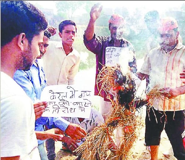 Hindujan activists fury after killing cow