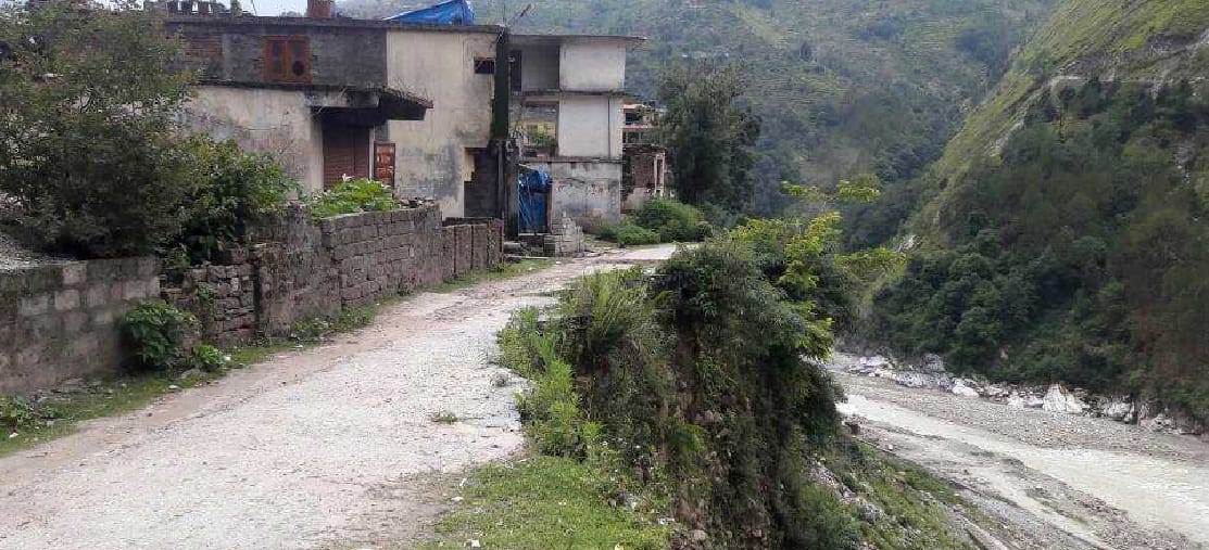 12 sheep killed due to disaster