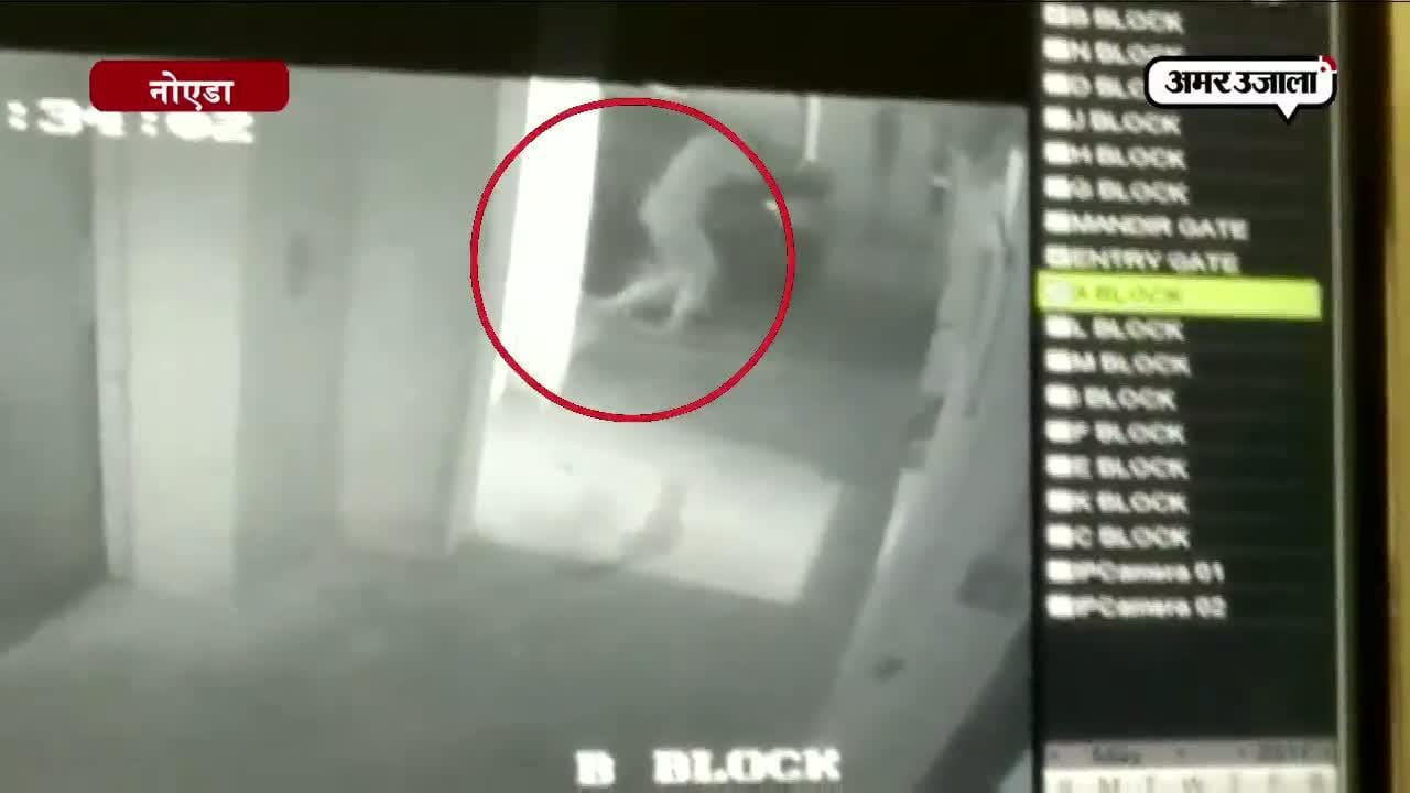नोएडा