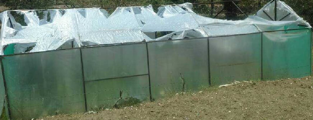 Heavy devastation in sirkuch village by hail