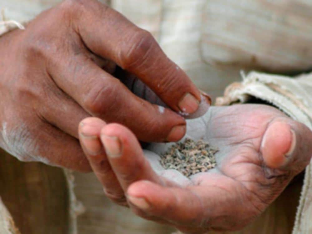 Tobacco kills every year more than seventy lakh people