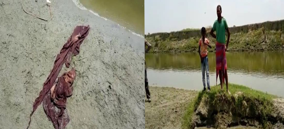 seven year old child dead dut to attack of wild dogs in kannauj