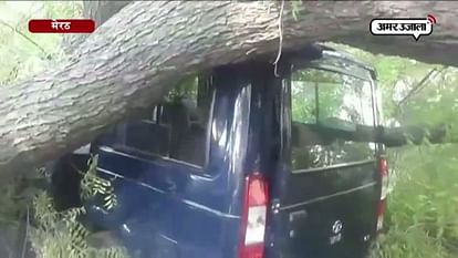 TREE FELL ON POLICE VEHICLE, NO CASUALITIES REPORTED