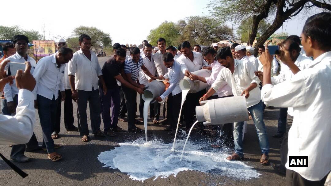 Maharashtra: Farmers go on indefinite strike, spilled milk on highway