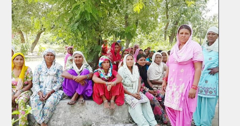 Did not take back the case, father killed, haryana news