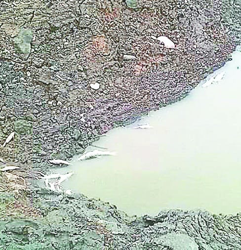 Afzalgarh's Yellow Dam Drought