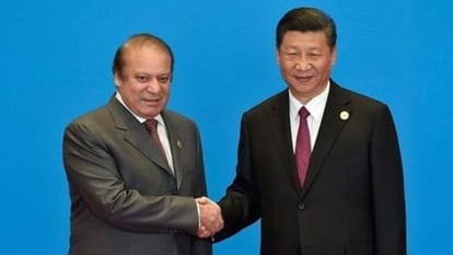Trust on Pak, this foreigner did miracle