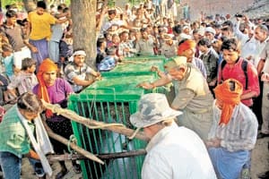 Seven injured in Leopard attack in village