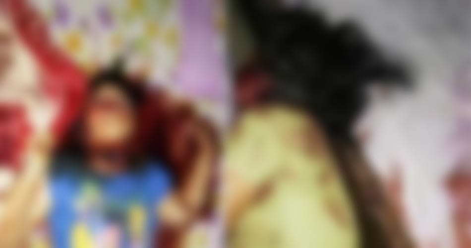 ambala lic agent killed wife and daugher brutally