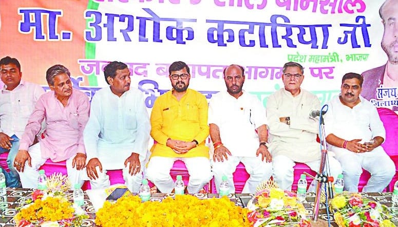 Bhim Army was erected under the conspiracy
