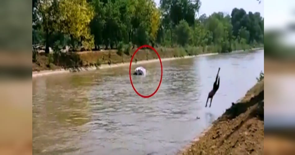  3 youth missing in canal