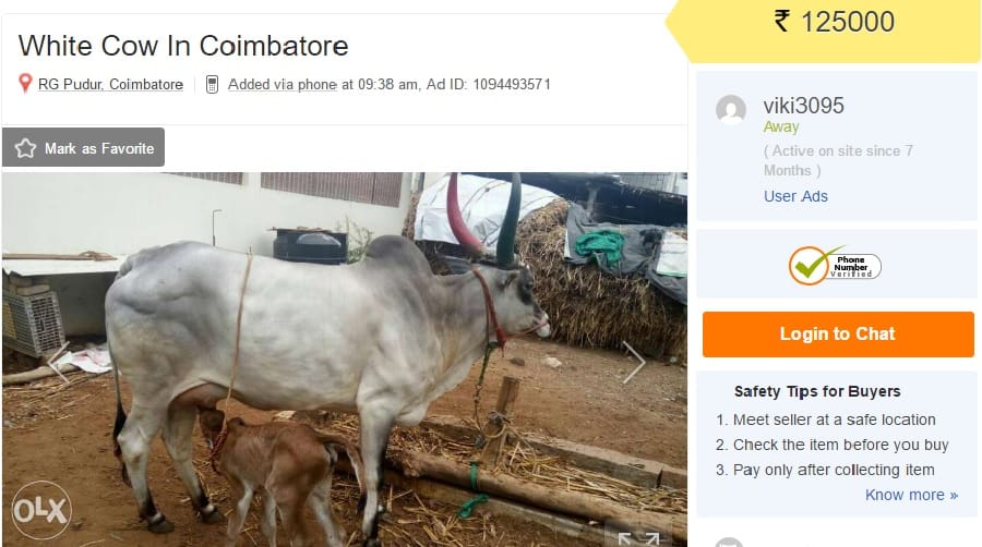 cows are selling on olx despite of central government ban on cattle slaughter