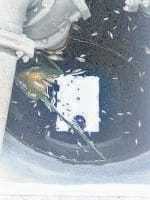 bhadurgarh, daboda, boosting station, water house, fish died, villager angry