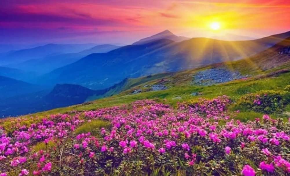 flowers of valley open for tourists