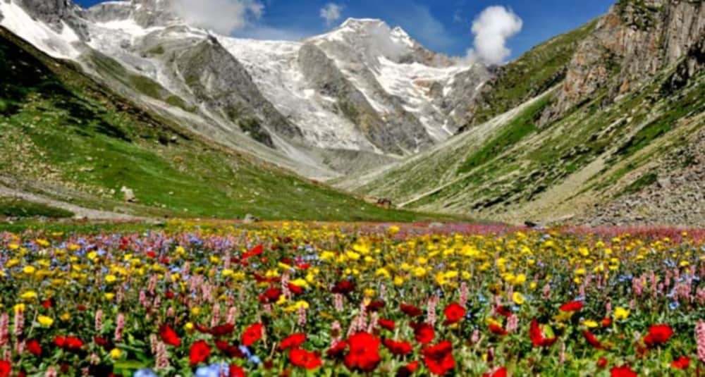 flowers of valley open for tourists