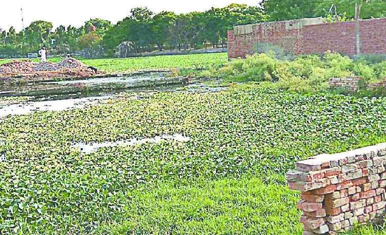 Illegal occupation in more than 300 villages