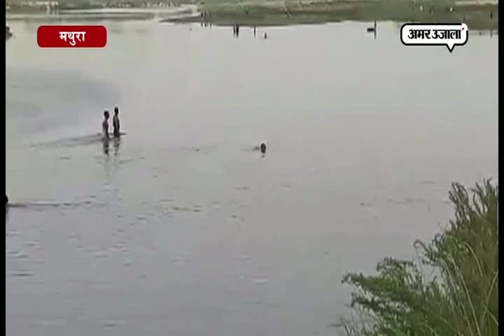 मथुरा 