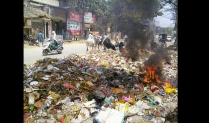  HC issues notice to MCD commissioners on lack of cleanliness
