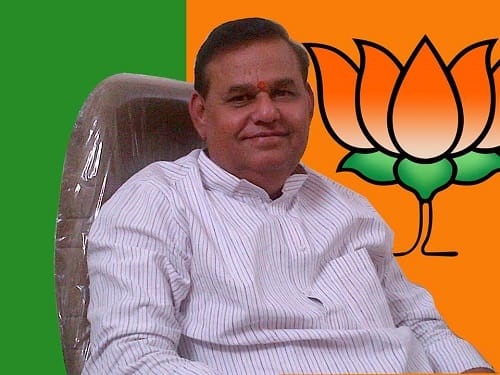 Promotion of Hindi. Language