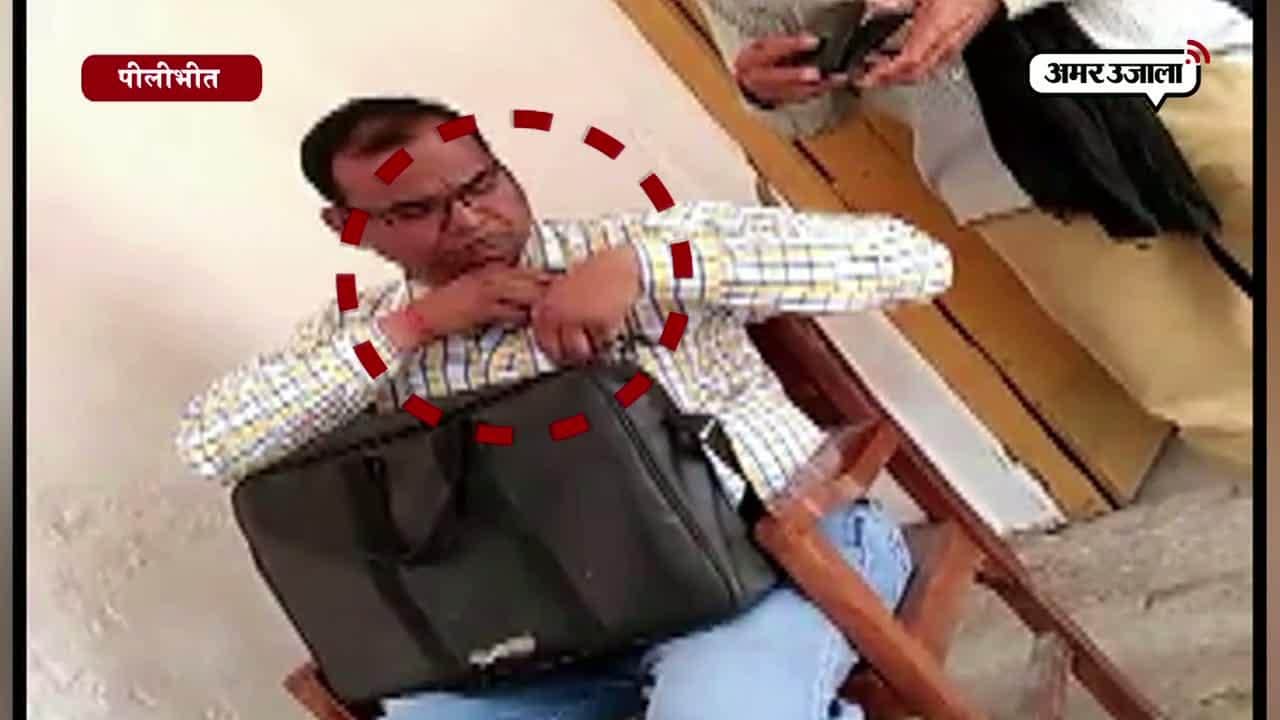 पीलीभीत 