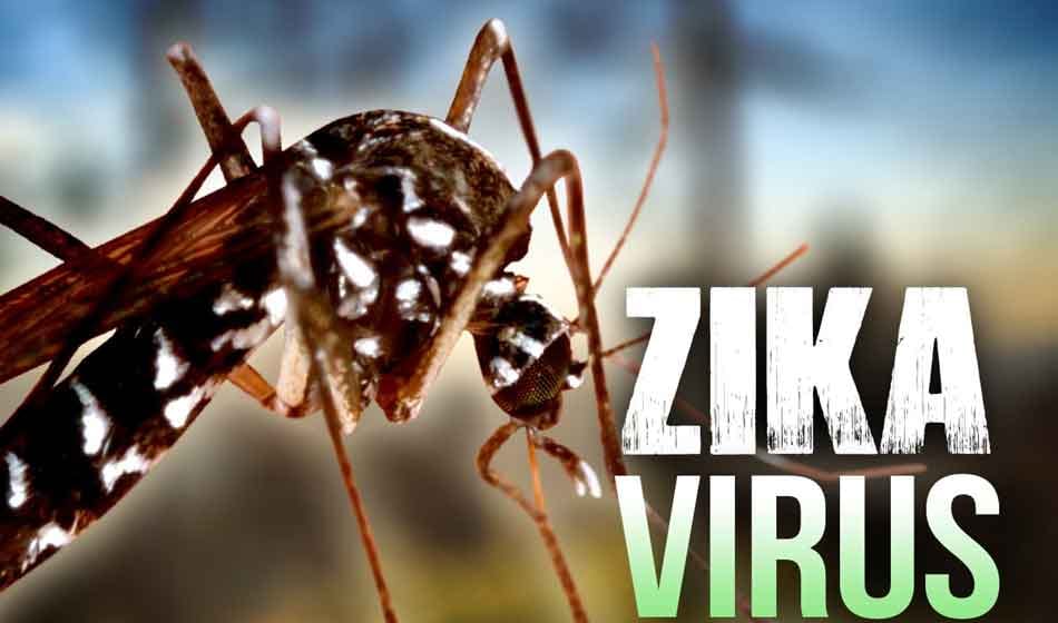 zika virus Alert in uttarakhand Health Ministry issued Advisory