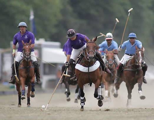 High court give the order about sports in state