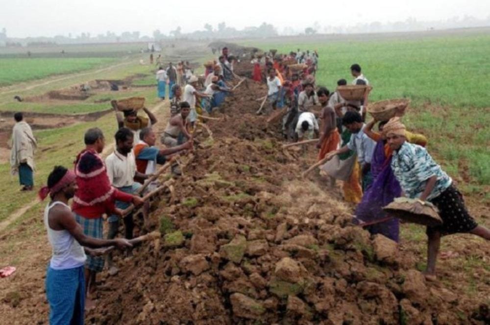 In 15 states MGNREGA wages less than minimum farm wages 