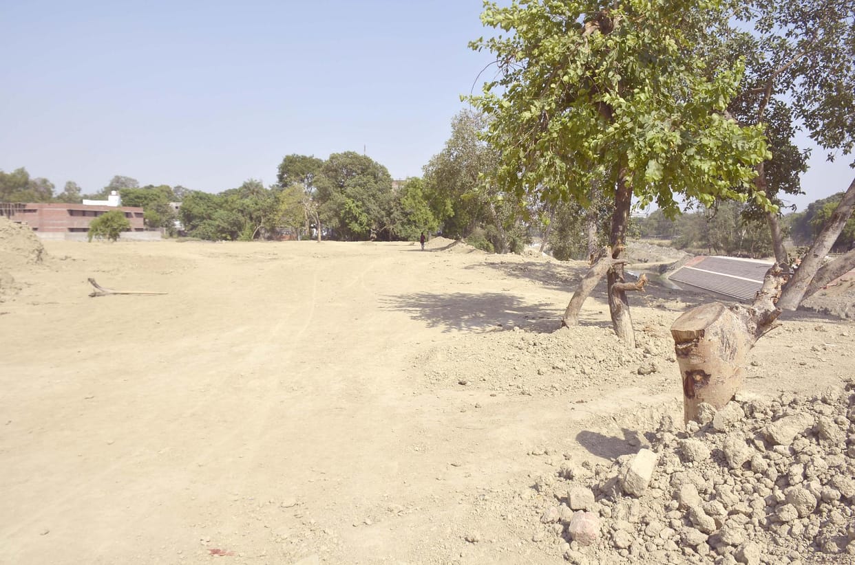 Varuna river pain Green trees cutting behind DM housing, no action