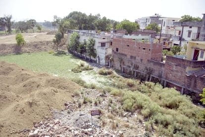 Varuna river pain Green trees cutting behind DM housing, no action