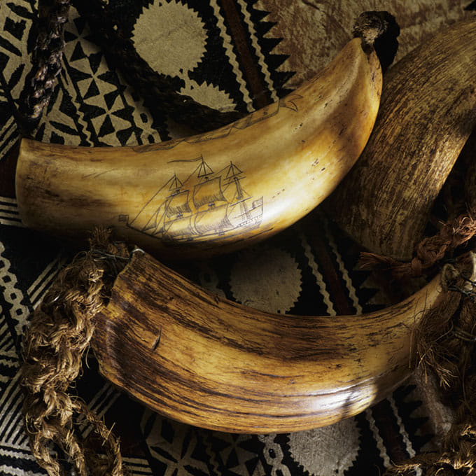 weird tradition of marriage in fiji 