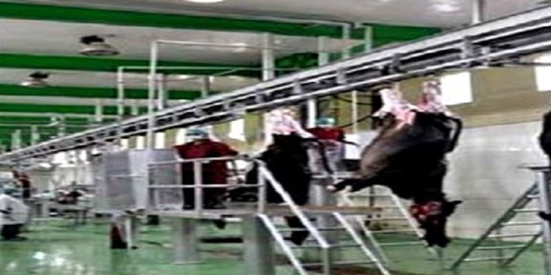 Yogi Sarkars claims failed, Illegal Meat Factory Moving Here