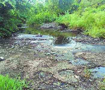 Reth river's water became black, due to pollution