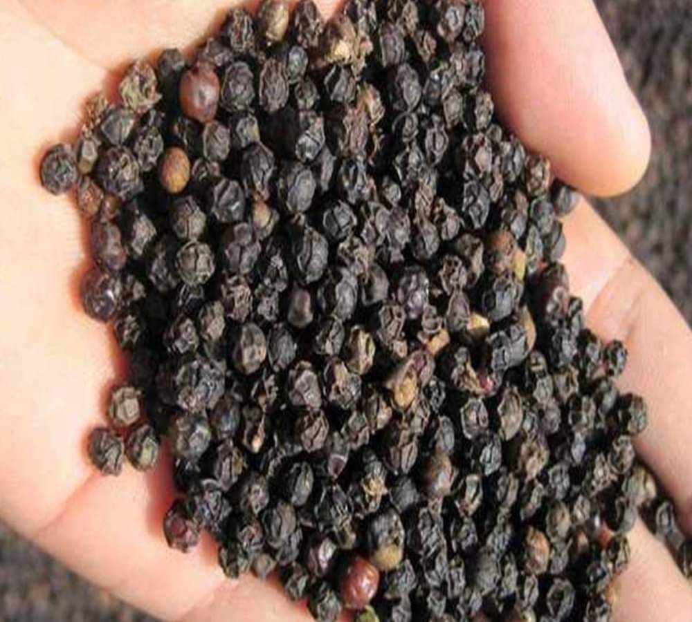 five easy tips how to earn money